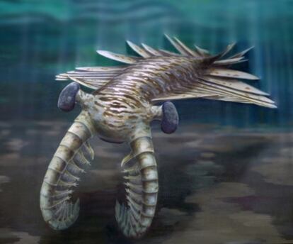 Ilustración del gran predador marino Anomalocaris.
