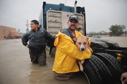 Un hombre sostiene a su perro mientras trata de cruzar una zona inundada en Houston, Texas.