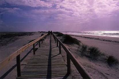 En las cercanías de la localidad portuguesa de Aveiro se extienden las bellas playas de dunas móviles de Costa Nova.