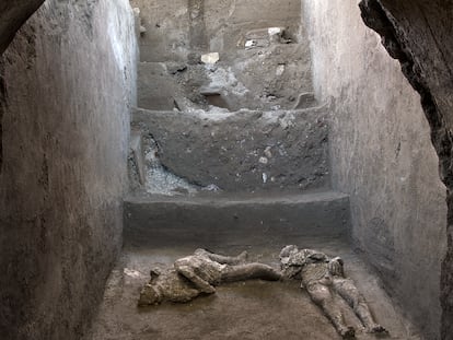 Cuerpos de dos víctimas de Pompeya, sorprendidos por la erupción del Vesubio en el año 79.