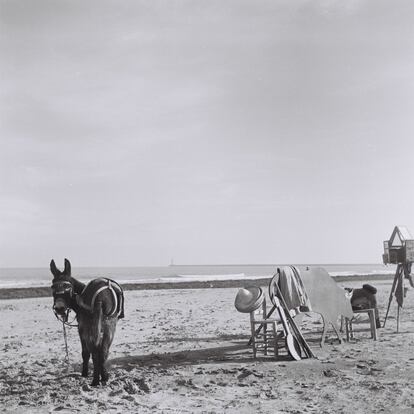 Un fotógrafo minutero con su atrezzo y un burro en una playa de Barcelona.
