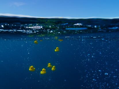 Recreación del accidente de 1992 con patitos de goma, en la serie 'Planeta Azul 2', de la BBC.