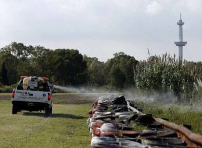 El Gobierno ha aumentado las fumigaciones para detener la rápida expansión del dengue.-Las ONG calculan que hay 20.000 casos en Argentina