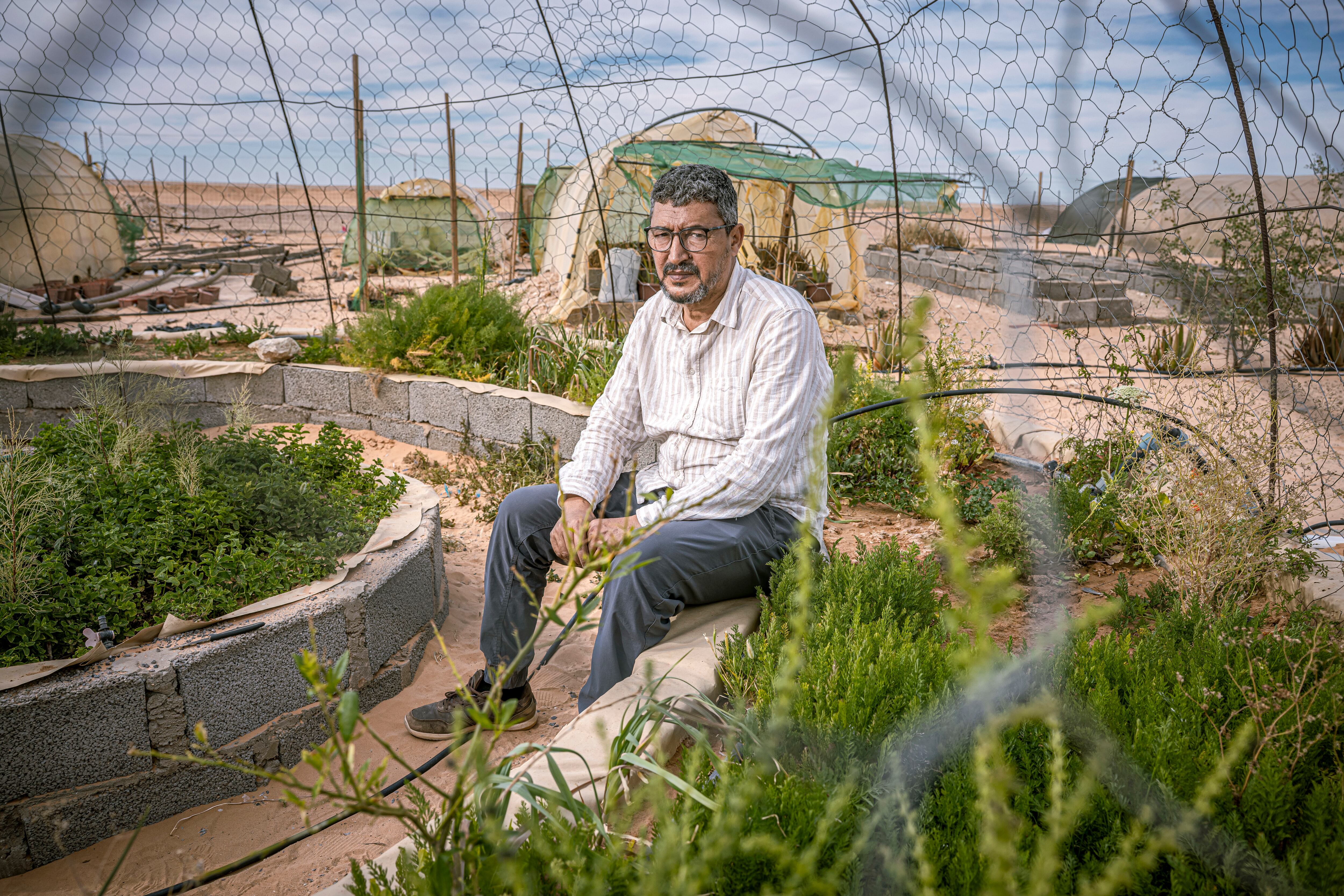 Taleb Brahim, ingeniero saharaui que investiga cómo producir alimentos a través de huertos en condiciones extremas como las que se viven en los campamentos saharauis de Tinduf (Argelia), en una foto tomada el 1 de mayo de 2026 en su huerto en Smara. 