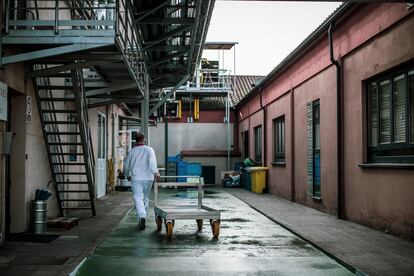 La vacuna MTBVAC se gesta entre edificaciones repletas de laboratorios, oficinas y almacenes de una apariencia sobria y aséptica que contrasta con el paisaje verde y húmedo propio de Galicia.