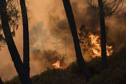 IN03 SERTÃ (PORTUGAL) 24/07/2017.- Vista de las llamas en un incendio forestal declarado en el distrito de Castelo Branco (Portugal) el 24 de julio de 2017. EFE/Sergio Azenha