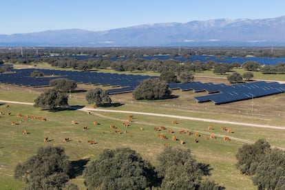 Planta solar Talayuela II de Statkraft en Cáceres.