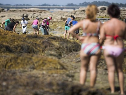 Ba&ntilde;istas observan el trabajo de la mariscadoras en la R&iacute;as Baixas.