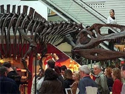 Fósiles de dinosaurios en centro comercial Max Center, en Barakaldo