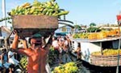 El colorido y ajetreado mercado flotante de Manaos, al noroeste de Brasil, es el punto de salida de las excursiones turísticas que siguen el curso del río Amazonas.