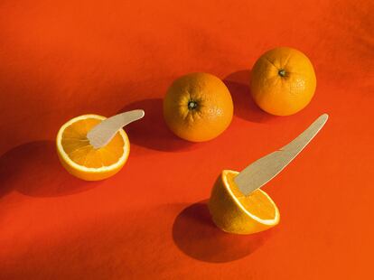 LA NARANJA. España fue la primera productora de naranjas. Hoy es la séptima mundial y la primera europea, aunque su calidad es indiscutible. Procedente de China, algunos etimólogos indican que las manzanas doradas del mitológico Jardín de las Hespérides eran en realidad naranjas. Su cultivo, junto con el resto de cítricos, llegó a través de los árabes, que las utilizaban como elemento ornamental o con fines medicinales. Una de las primeras variedades dulces se obtuvo en el municipio de Carcaixent a finales del siglo XVIII. Un siglo después, Valencia empezó a desarrollar el cultivo industrial. El hecho de ser un fruto de invierno con piel dura que aguantaba el transporte favoreció su popularidad en el norte de Europa. La primera exportación a Reino Unido tuvo lugar en 1850. En Bélgica cuenta la leyenda que San Nicolás llega a principios de diciembre desde Alicante para repartir regalos y naranjas a los niños.