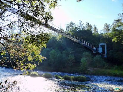 Galicia es una de las comunidades donde más puentes colgantes hay, debido a la gran cantidad de ríos que discurren por su accidentada orografía, algunos de los cuales, más allá de los ya citados, merece la pena visitar. Como la pasarela metálica colgante que salva el río Ulla entre Couso y Pontevea, en el área recreativa de O Xirimbao (Pontevedra), tendida para unir los cotos de pesca de Ximonde y Xirimbao (en la imagen). Tiene 80 metros de largo. El puente de Noia, en A Coruña, pasa por encima del río Tambre y forma parte de una ruta de senderismo que llega hasta Ponte Nafonso. Y una última pista: el puente de Oia, cerca del balneario de Berán (Ourense), en la ruta natural que une Pazos de Arenteiro con Ribadavia. Más información: <a href="http://www.turismo.gal/inicio" target="_blank">www.turismo.gal</a>