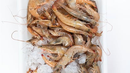 Langostino café restaurante de Rubén Miralles