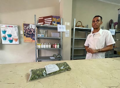 Un farmacéutico muestra hojas de moringa, que se venden en la farmacia, casi vacía, como medicina, el 12 de octubre.