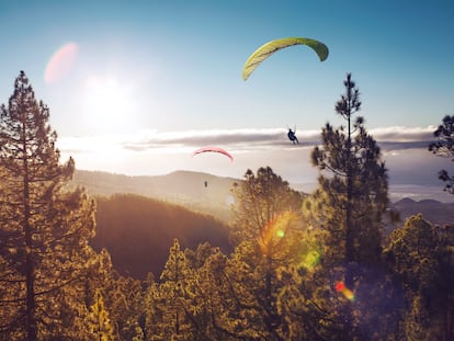 Two paragliders flying over Tenerife in sunrise