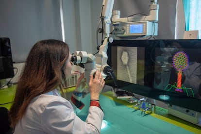 Una microbióloga inspecciona con el microscopio una muestra de virus, en el Complejo Hospitalario Universitario A Coruña.