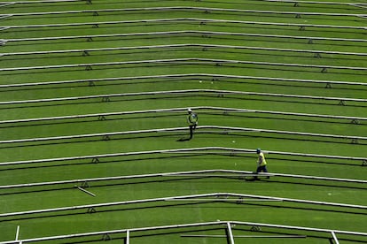 Un estadio para el Covid-19 en Brasil . Varios obreros trabajan en la construcción de un hospital de campaña para tratar casos de coronavirus, en el estadio de Pacaembú, en São Paulo (Brasil). La mayor ciudad brasileña se prepara para tener listas 200 camas para pacientes de esta enfermedad.