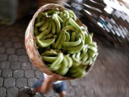 Costa Rica es uno de los principales exportadores mundiales de banano con ventas anuales de 105 millones de cajas y alrededor de 800 millones de dólares. EFE/Archivo