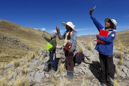 Algunos estudiantes buscan señal en la cima de una colina en el distrito de Mañazo, Perú, para asistir a sus clases virtuales.