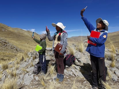 Algunos estudiantes buscan señal en la cima de una colina en el distrito de Mañazo, Perú, para asistir a sus clases virtuales.