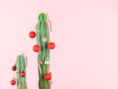 Dos cactus con decoración navideña.