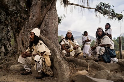 Bartolo Torres (izquierda), mayor líder del pueblo arhuaco y otros hombres conversan bajo uno de los árboles sagrados, en Nabusimake, el 14 de marzo de 2025.