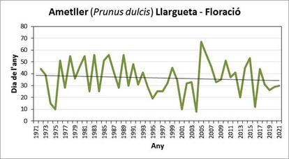 Gráfica del adelanto de la floración del almendro de variedad llargueta.