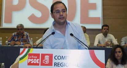 El secretario de Organización del PSOE, César Luena.