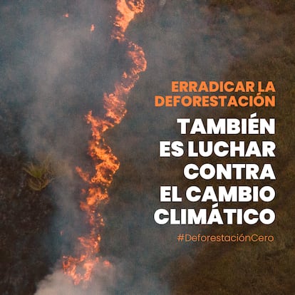 Imagen cedida por Ecologistas en Acción