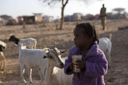 Una niña desplazada interna en Somalia debido a una sequía en su aldea, Qardho, donde las familias viven de la agricultura y la ganadería.