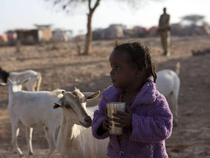 Una niña desplazada interna en Somalia debido a una sequía en su aldea, Qardho, donde las familias viven de la agricultura y la ganadería. 