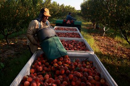 agricultores mexicanos en estados unidos