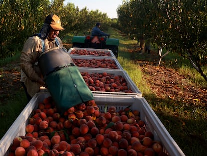 agricultores mexicanos en estados unidos