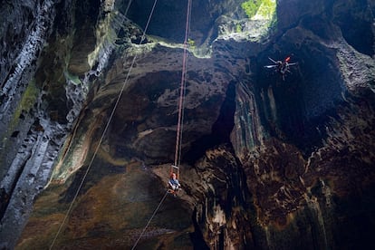 Las cuevas de Gomantong, en la provincia de Sabah en la isla de Borneo, perteneciente a Malasia, son el hogar de cientos de miles de golondrinas que construyen sus nidos de saliva en las paredes y techos de la caverna. Considerados un manjar en China, son recolectados dos veces al año mediante largas escalas y pértigas de bambú. En la foto, el naturalista David Attenborough durante la grabación, con la ayuda de drones, de un documental sobre las cuevas de Gomantong.