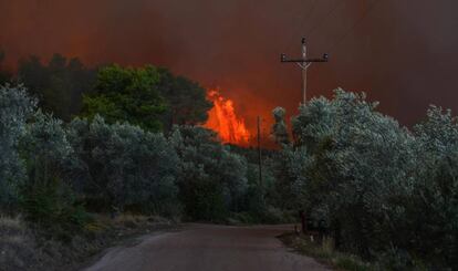 Vista del fuego en una zona forestal de Psachna, en la isla griega de Eubea, este domingo.