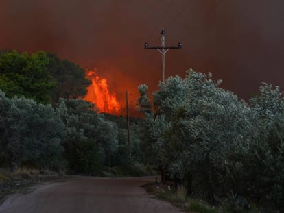 Vista del fuego en una zona forestal de Psachna, en la isla griega de Eubea, este domingo.