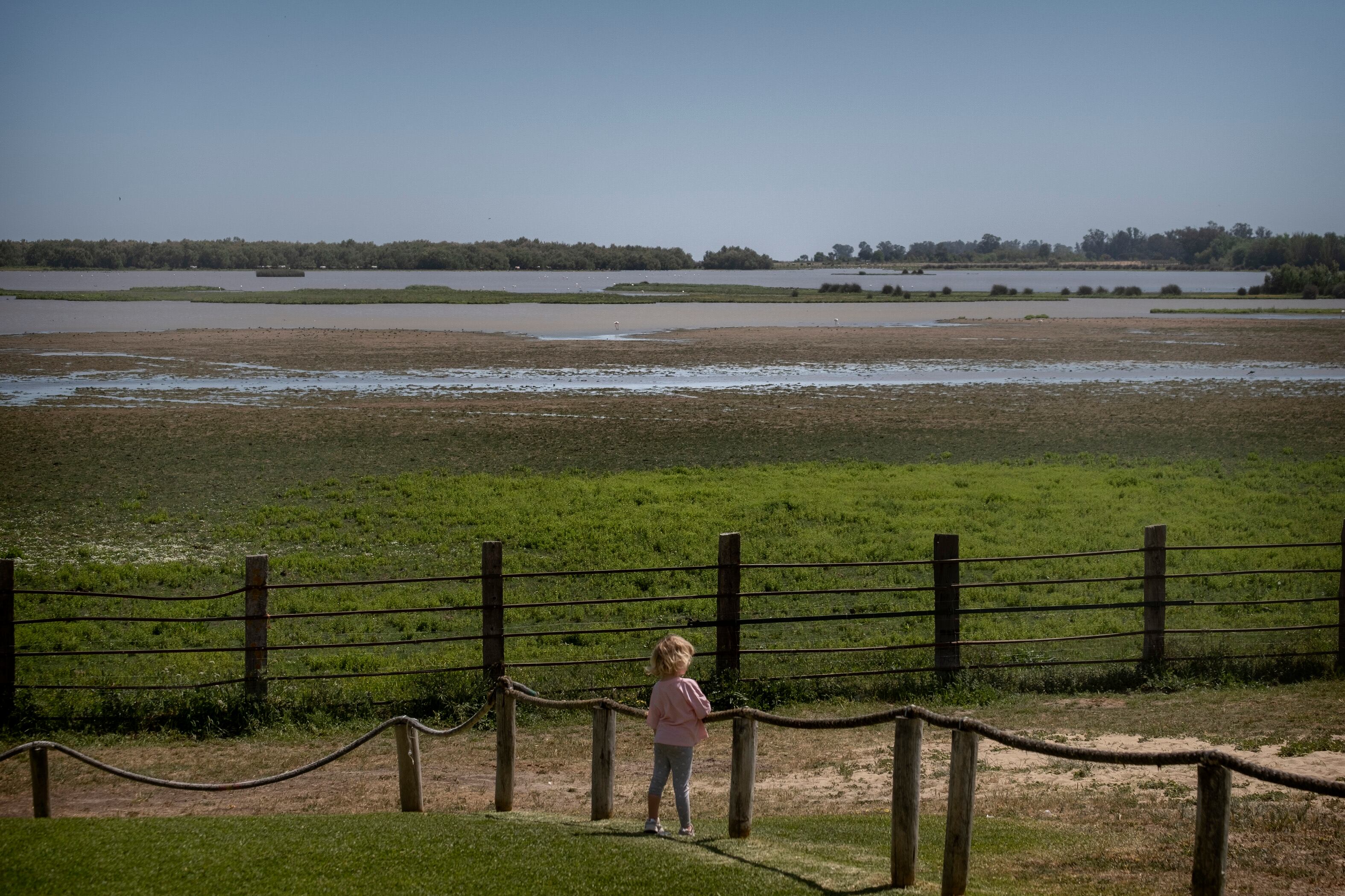 Una niña mira las aves en la marisma de Doñana desde El Rocío (Huelva), este miércoles.