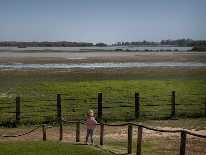 Una niña mira las aves en la marisma de Doñana desde la aldea de El Rocío.