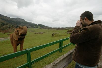 Un visitante fotografiando un elefante en el parque de la Naturaleza de Cabárceno, en Cantabria.