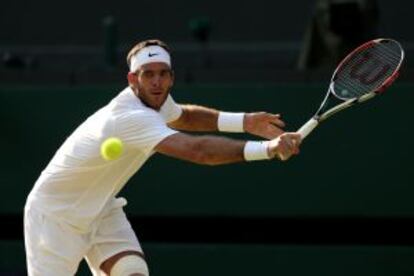 Del Potro, ante Djokovic.