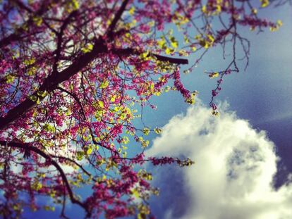 Hasta el ocio se consume