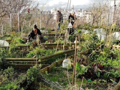 Huerta compartida en el barrio de Butte Bergeyre, Par&iacute;s.