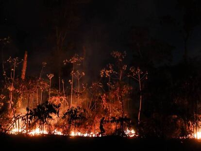 A Amazônia brasileira perdeu em agosto 1.698 quilômetros quadrados de sua cobertura vegetal por conta das queimadas.