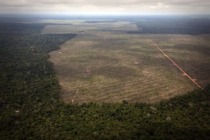 El ritmo de deforestaci&oacute;n de la Amazonia brasile&ntilde;a volvi&oacute; a incrementarse en 2013. 