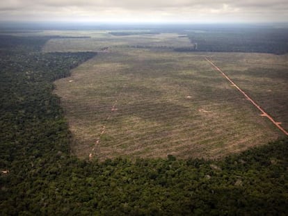 O ritmo de desmatamento da Amazônia brasileira voltou a subir em 2013.