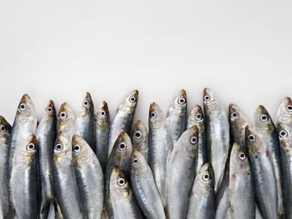 Qué comen los más listos (y risueños)