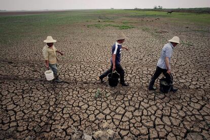 Granjeros cargan agua mientras caminan sobre el Lago Norte de Huangpi, en el distrito de Wuhan (China), que se encuentra completamente seco debido a la sequía que afecta a los ríos Hubei y Jiangxi.