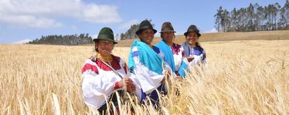 Agricultoras que trabajan para la cervecera nacional de Ecuador.