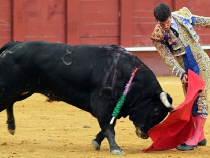 Tom&aacute;s Campos, con la muleta ante su primer novillo de la tarde.