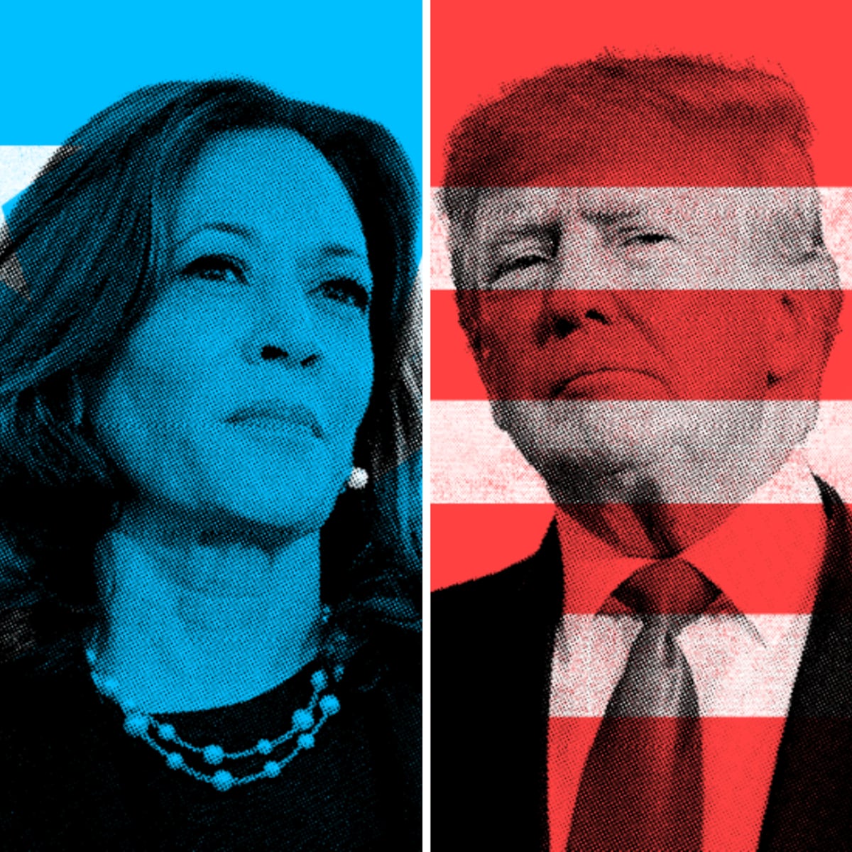 ¿Trump or Harris?: Mini-Guía for the United States Election Campaign | El PAÍS Express